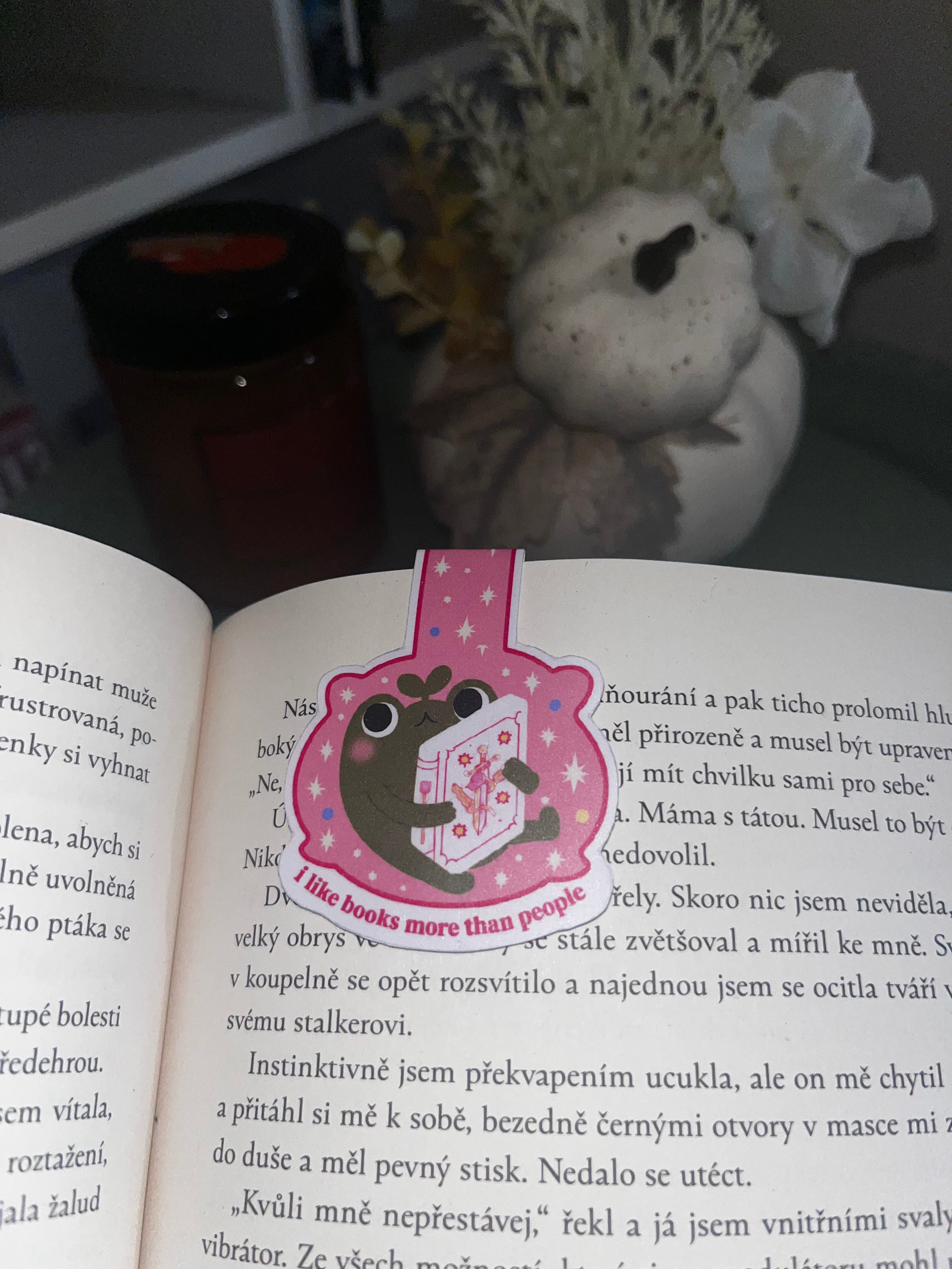 Magnetická záložka “ Reading Frog”